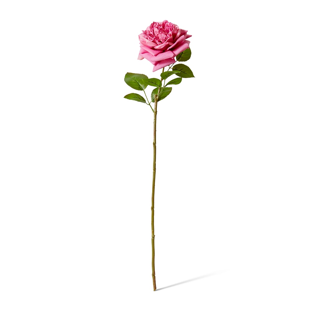 Mauve real-touch Austin rose stem | Sonder + Stone Boutique