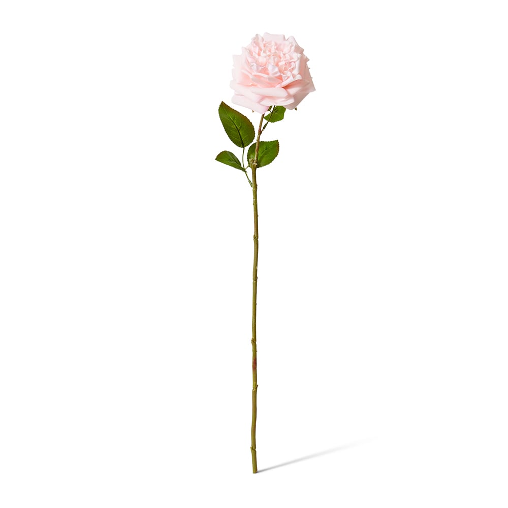 Soft Pink real-touch Austin rose stem | Sonder + Stone Boutique