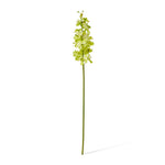 Green real-touch vanda orchid large | Sonder + Stone Boutique