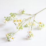Wildflower Spray - White