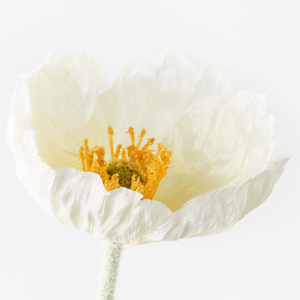 Iceland Poppy Stem - White - Premium Artificial Wedding Flowers by Sonder & Stone Boutique