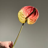 Artificial flowers Large Anthurium Stem - Coral - Sonder + Stone Boutique