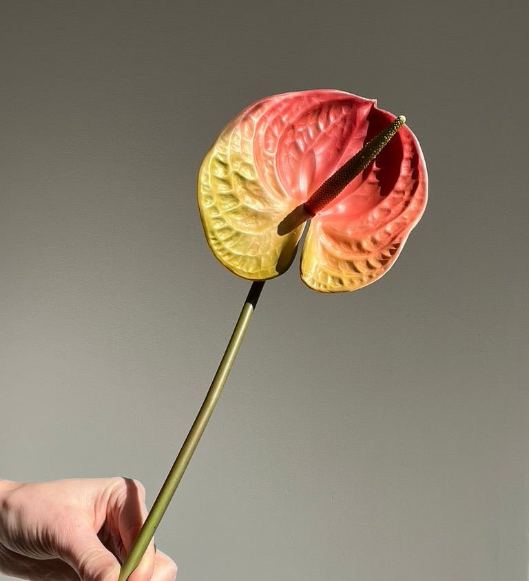 Artificial flowers Large Anthurium Stem - Coral - Sonder + Stone Boutique