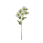 White hellebore spray | Sonder + Stone Boutique