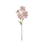 Pink hellebore spray | Sonder + Stone Boutique