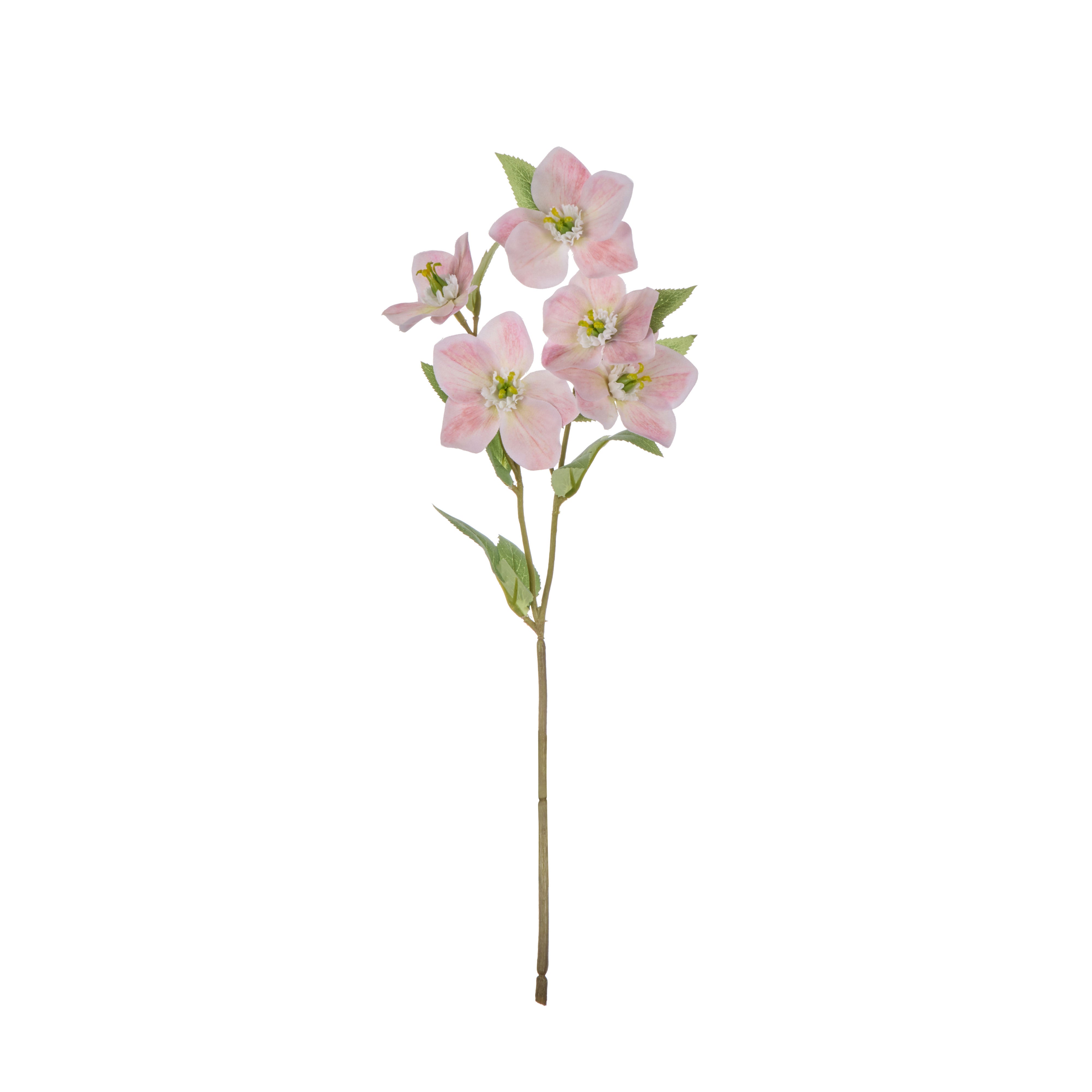 Pink hellebore spray | Sonder + Stone Boutique
