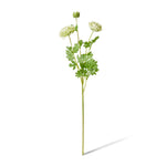 Ranunculus Spray 64cm - Green - Premium Artificial Wedding Flowers by Sonder & Stone Boutique