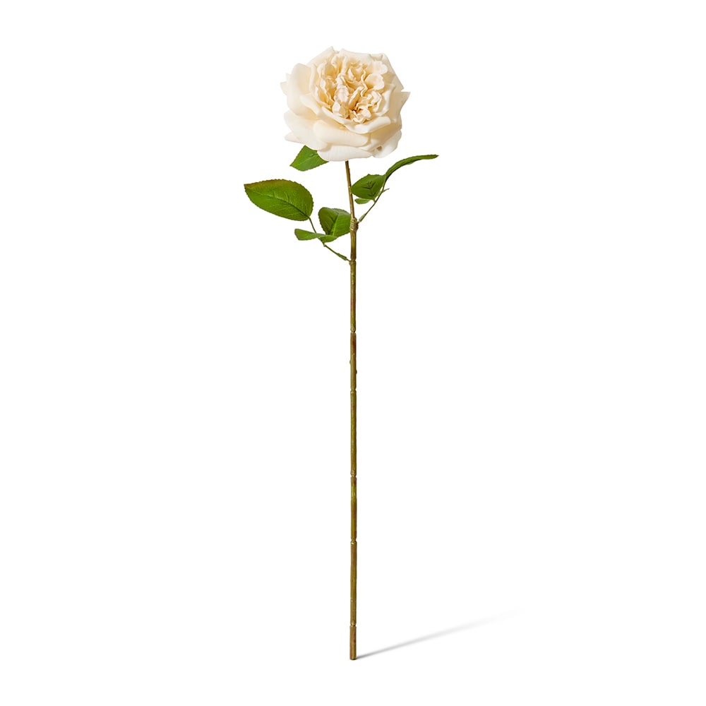 Real-Touch Austin Rose Stem - Champagne - Premium Artificial Wedding Flowers by Sonder & Stone Boutique