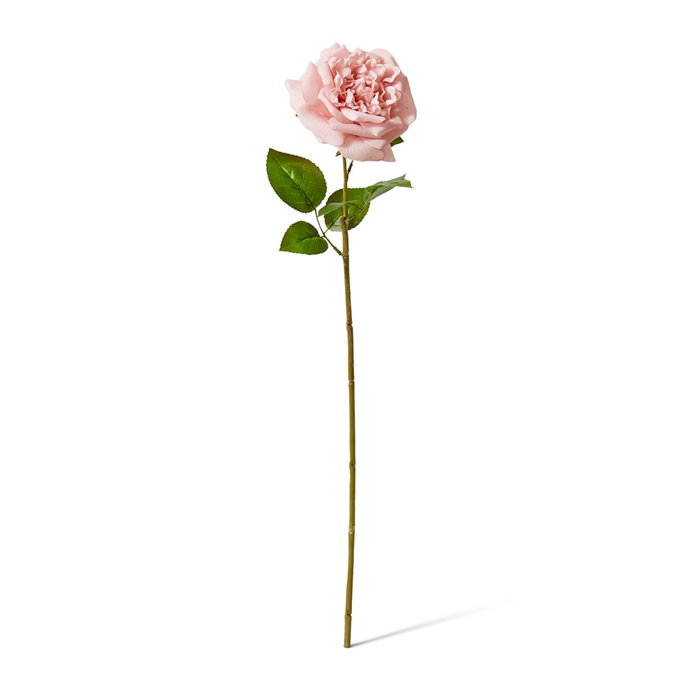Real-Touch Austin Rose Stem - Dusty Pink - Premium Artificial Wedding Flowers by Sonder & Stone Boutique