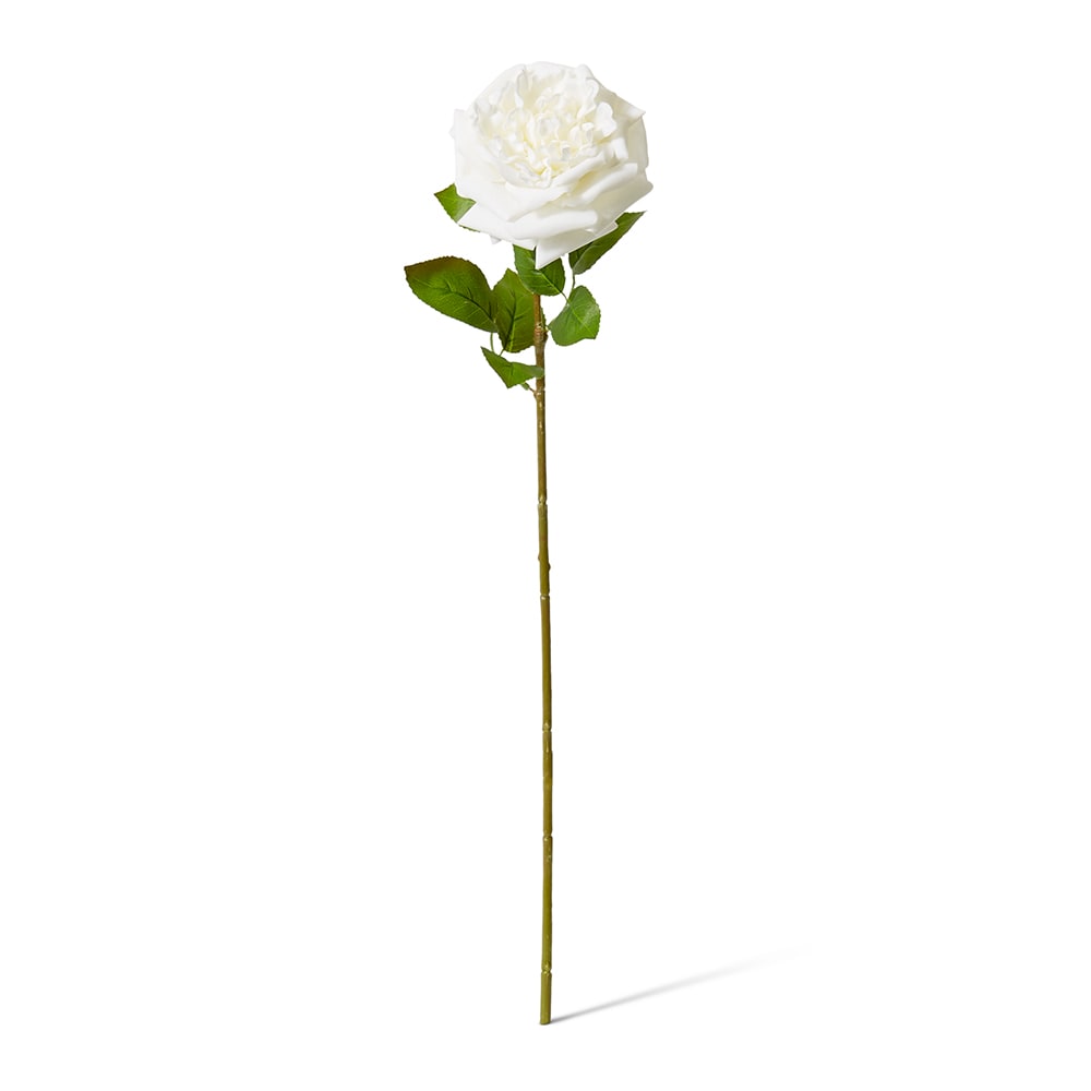 Real-Touch Austin Rose Stem - White - Premium Artificial Wedding Flowers by Sonder & Stone Boutique