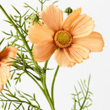 Real-Touch Cosmos Spray - Toffee - Premium Artificial Wedding Flowers by Sonder & Stone Boutique