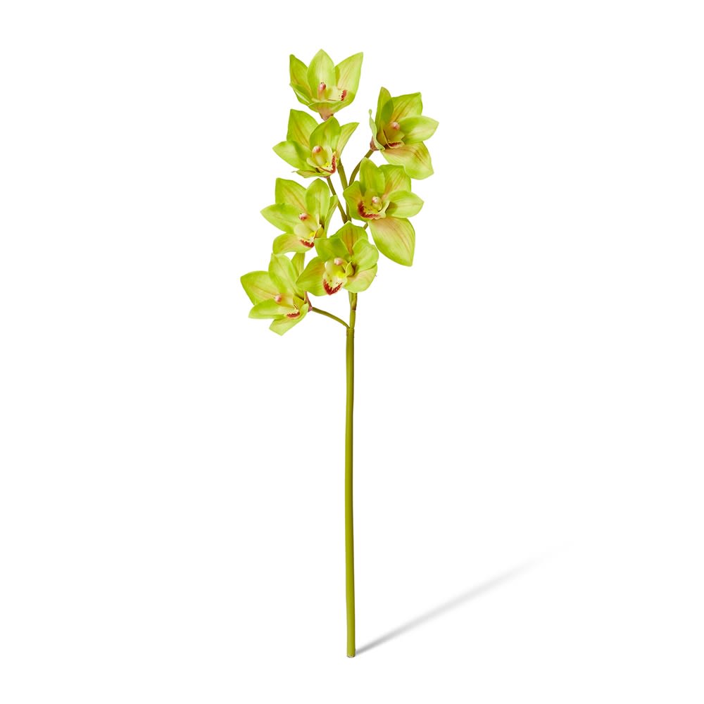 Real-Touch Cymbidium Orchid 58cm - Green - Premium Artificial Wedding Flowers by Sonder & Stone Boutique
