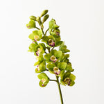 Real-Touch Cymbidium Orchid 83cm - Green - Premium Artificial Wedding Flowers by Sonder & Stone Boutique