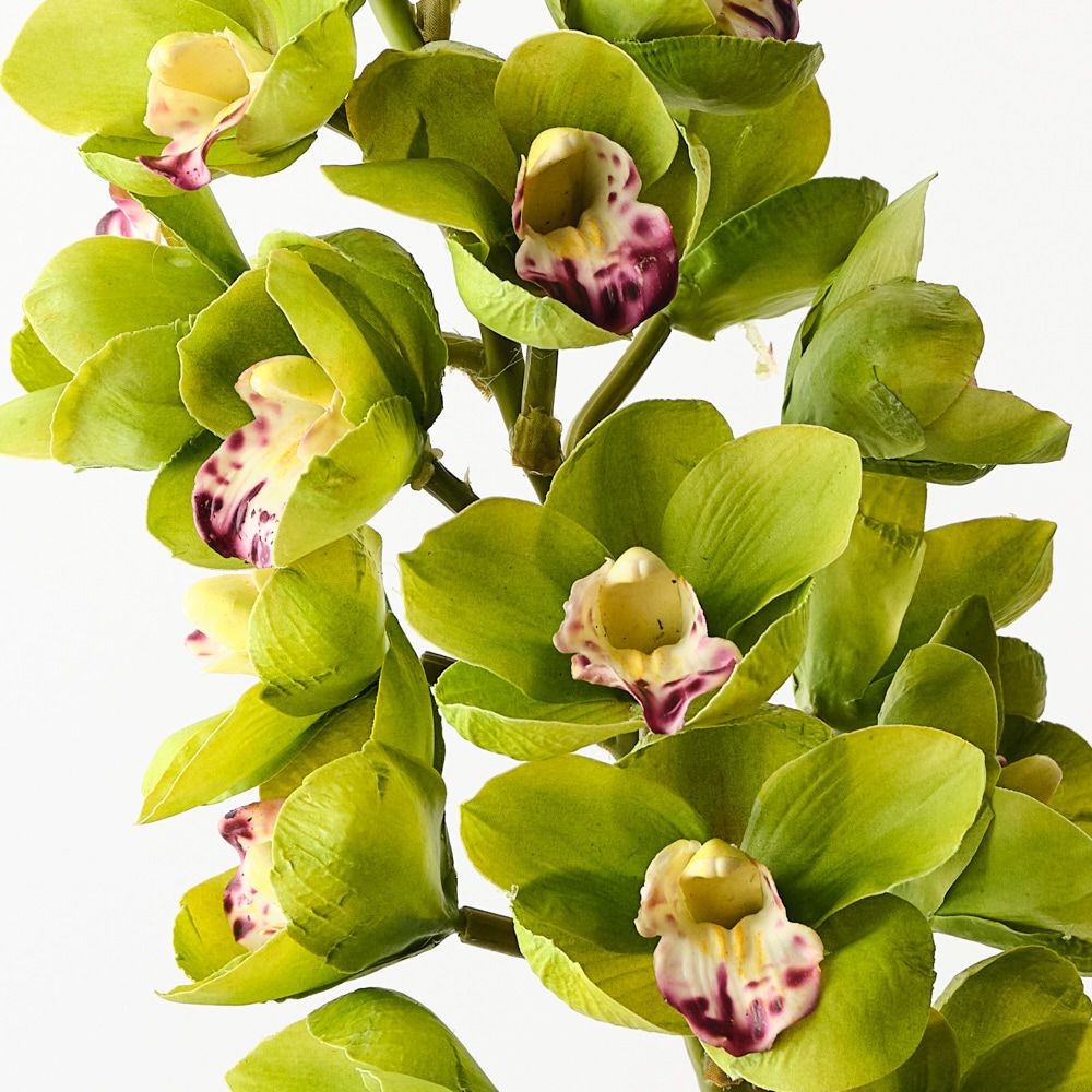 Real-Touch Cymbidium Orchid 83cm - Green - Premium Artificial Wedding Flowers by Sonder & Stone Boutique