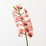 Real-Touch Cymbidium Orchid 83cm - Light Pink - Premium Artificial Wedding Flowers by Sonder & Stone Boutique