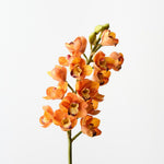 Real-Touch Cymbidium Orchid 83cm - Orange - Premium Artificial Wedding Flowers by Sonder & Stone Boutique