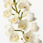 Real-Touch Cymbidium Orchid 83cm - White - Premium Artificial Wedding Flowers by Sonder & Stone Boutique