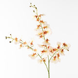 Real-Touch Dancing Orchid - Cream - Premium Artificial Wedding Flowers by Sonder & Stone Boutique