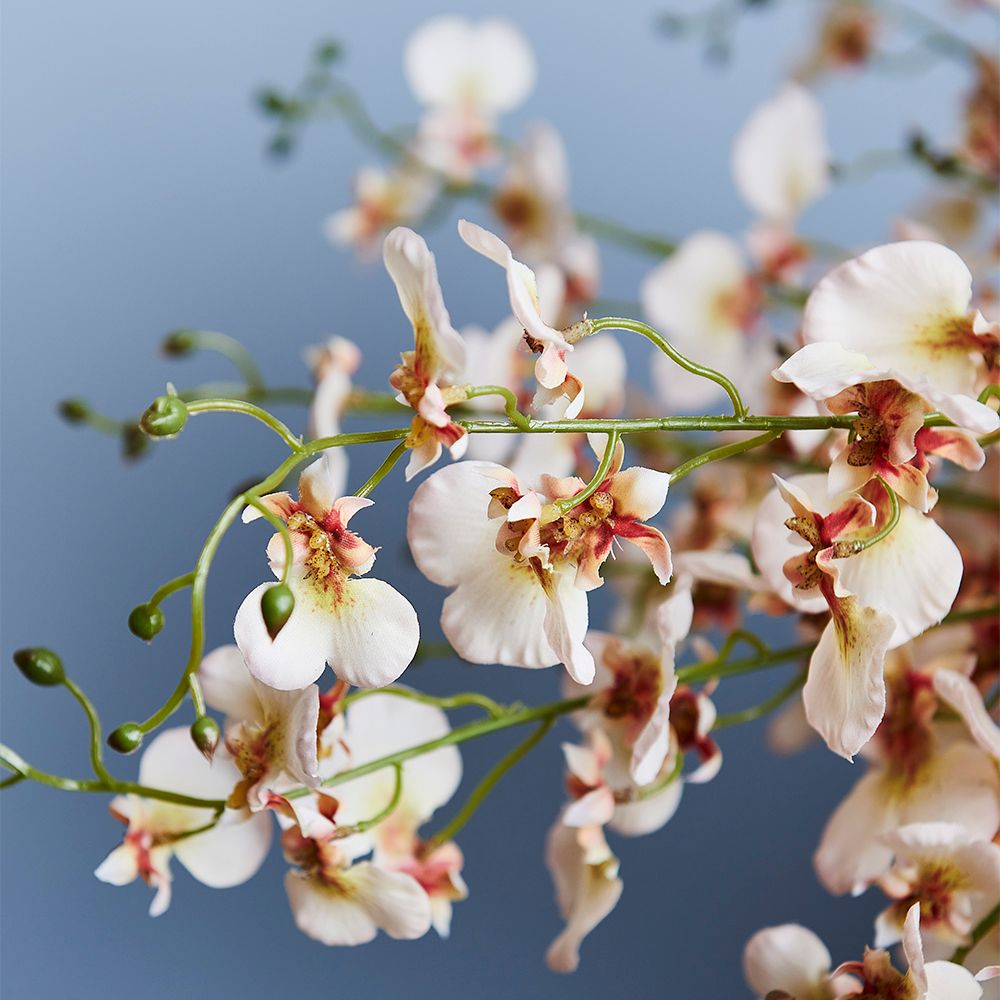 Real-Touch Dancing Orchid - Cream - Premium Artificial Wedding Flowers by Sonder & Stone Boutique