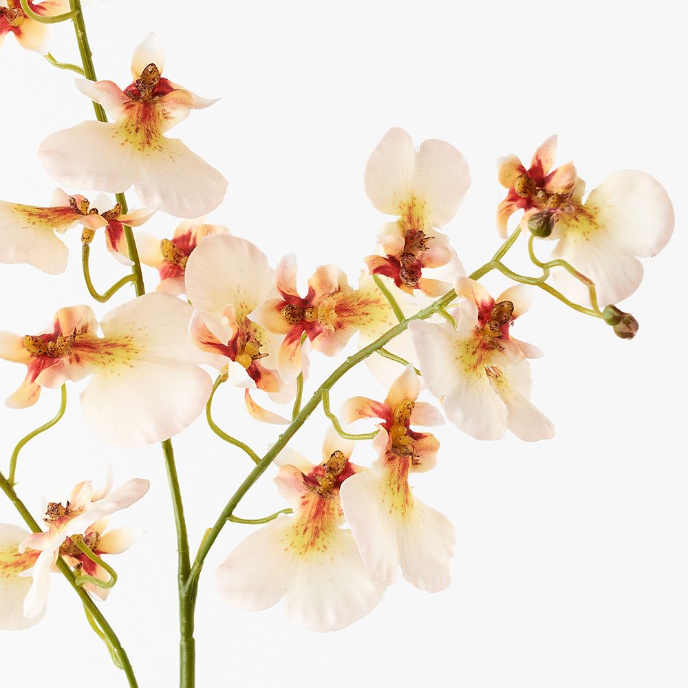 Real-Touch Dancing Orchid - Cream - Premium Artificial Wedding Flowers by Sonder & Stone Boutique