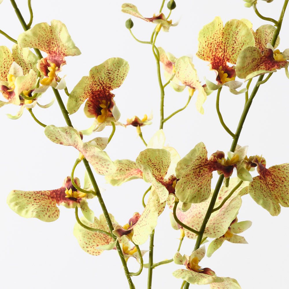 Real-Touch Dancing Orchid - Green - Premium Artificial Wedding Flowers by Sonder & Stone Boutique