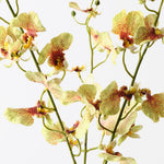 Real-Touch Dancing Orchid - Green - Premium Artificial Wedding Flowers by Sonder & Stone Boutique