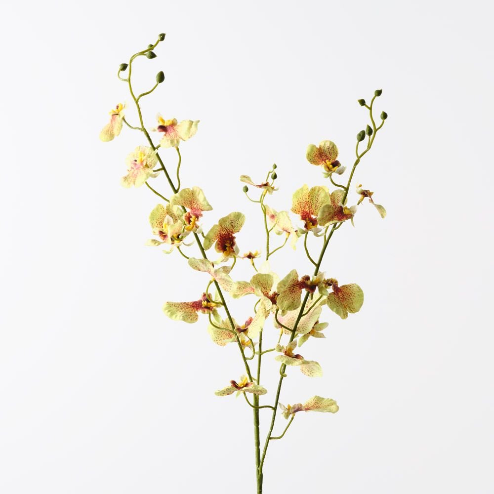 Real-Touch Dancing Orchid - Green - Premium Artificial Wedding Flowers by Sonder & Stone Boutique