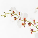 Real-Touch Dancing Orchid - White - Premium Artificial Wedding Flowers by Sonder & Stone Boutique