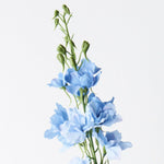 Real-Touch Delphinium 90cm - Light Blue - Premium Artificial Wedding Flowers by Sonder & Stone Boutique
