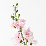 Real-Touch Delphinium 90cm - Light Pink - Premium Artificial Wedding Flowers by Sonder & Stone Boutique