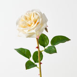 Real-Touch Florence Rose 61cm - Cream - Premium Artificial Wedding Flowers by Sonder & Stone Boutique