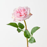 Real-Touch Florence Rose 61cm - Light Pink - Premium Artificial Wedding Flowers by Sonder & Stone Boutique
