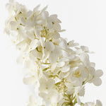 Real-Touch Hydrangea Cone - White - Premium Artificial Wedding Flowers by Sonder & Stone Boutique