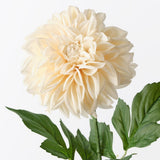 Real-Touch Large Pom Pom Dahlia - Cream - Premium Artificial Wedding Flowers by Sonder & Stone Boutique