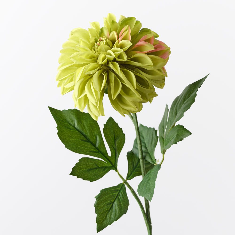 Real-Touch Large Pom Pom Dahlia - Green - Premium Artificial Wedding Flowers by Sonder & Stone Boutique