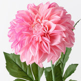 Real-Touch Large Pom Pom Dahlia - Hot Pink - Premium Artificial Wedding Flowers by Sonder & Stone Boutique