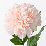 Real-Touch Large Pom Pom Dahlia - Soft Pink - Premium Artificial Wedding Flowers by Sonder & Stone Boutique