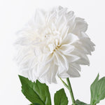 Real-Touch Large Pom Pom Dahlia - White - Premium Artificial Wedding Flowers by Sonder & Stone Boutique