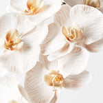 Real-Touch Phalaenopsis Infused Orchid - Dove - Premium Artificial Wedding Flowers by Sonder & Stone Boutique