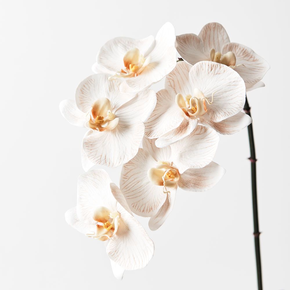 Real-Touch Phalaenopsis Infused Orchid - Dove - Premium Artificial Wedding Flowers by Sonder & Stone Boutique