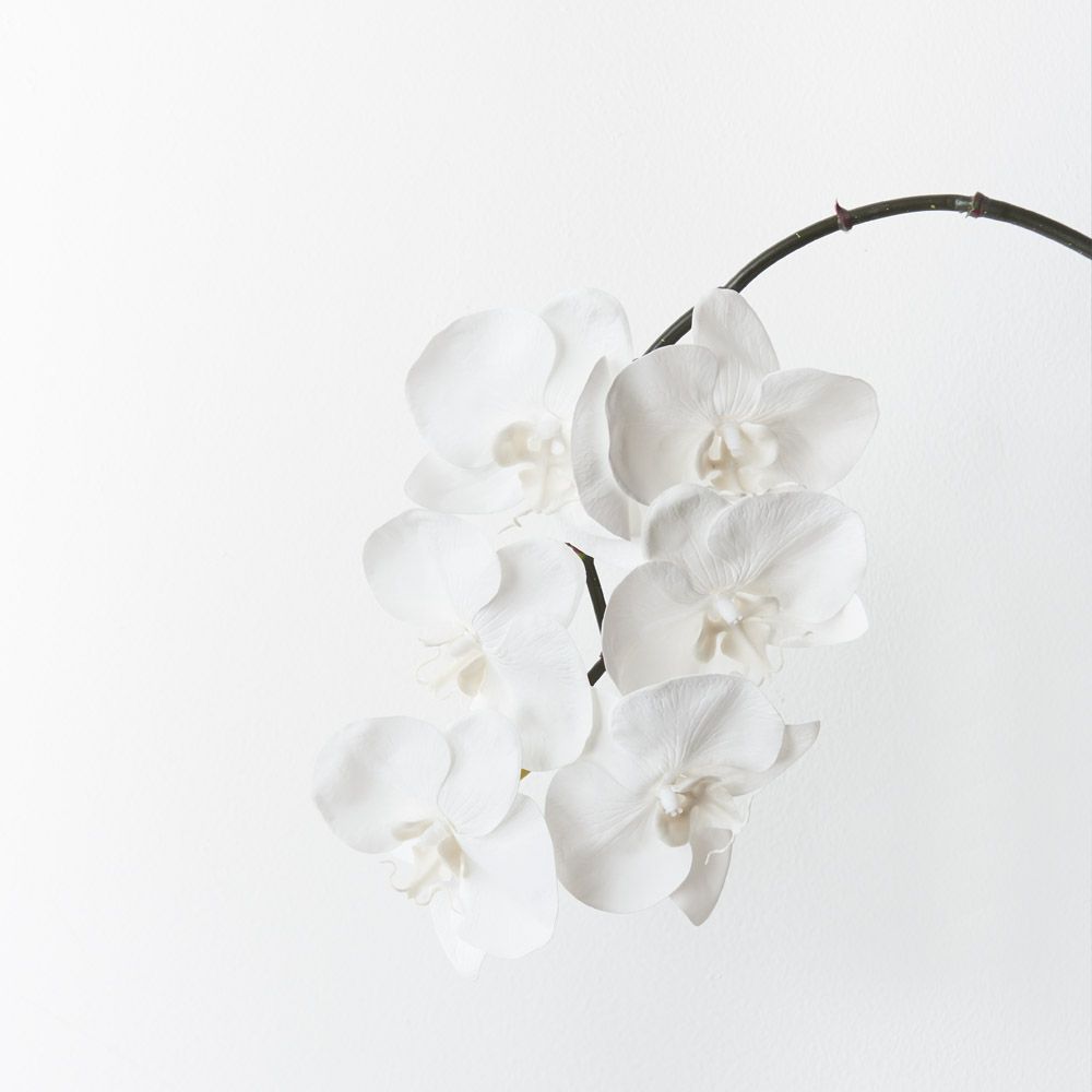 Real-Touch Phalaenopsis Infused Orchid - Winter White - Premium Artificial Wedding Flowers by Sonder & Stone Boutique