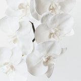 Real-Touch Phalaenopsis Infused Orchid - Winter White - Premium Artificial Wedding Flowers by Sonder & Stone Boutique