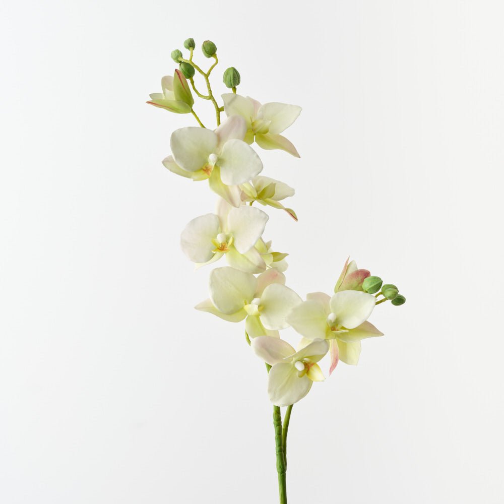 Real-Touch Phalaenopsis Orchid 84cm - Light Green - Premium Artificial Wedding Flowers by Sonder & Stone Boutique