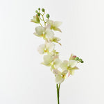 Real-Touch Phalaenopsis Orchid 84cm - Light Green - Premium Artificial Wedding Flowers by Sonder & Stone Boutique