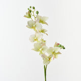 Real-Touch Phalaenopsis Orchid 84cm - Light Green - Premium Artificial Wedding Flowers by Sonder & Stone Boutique