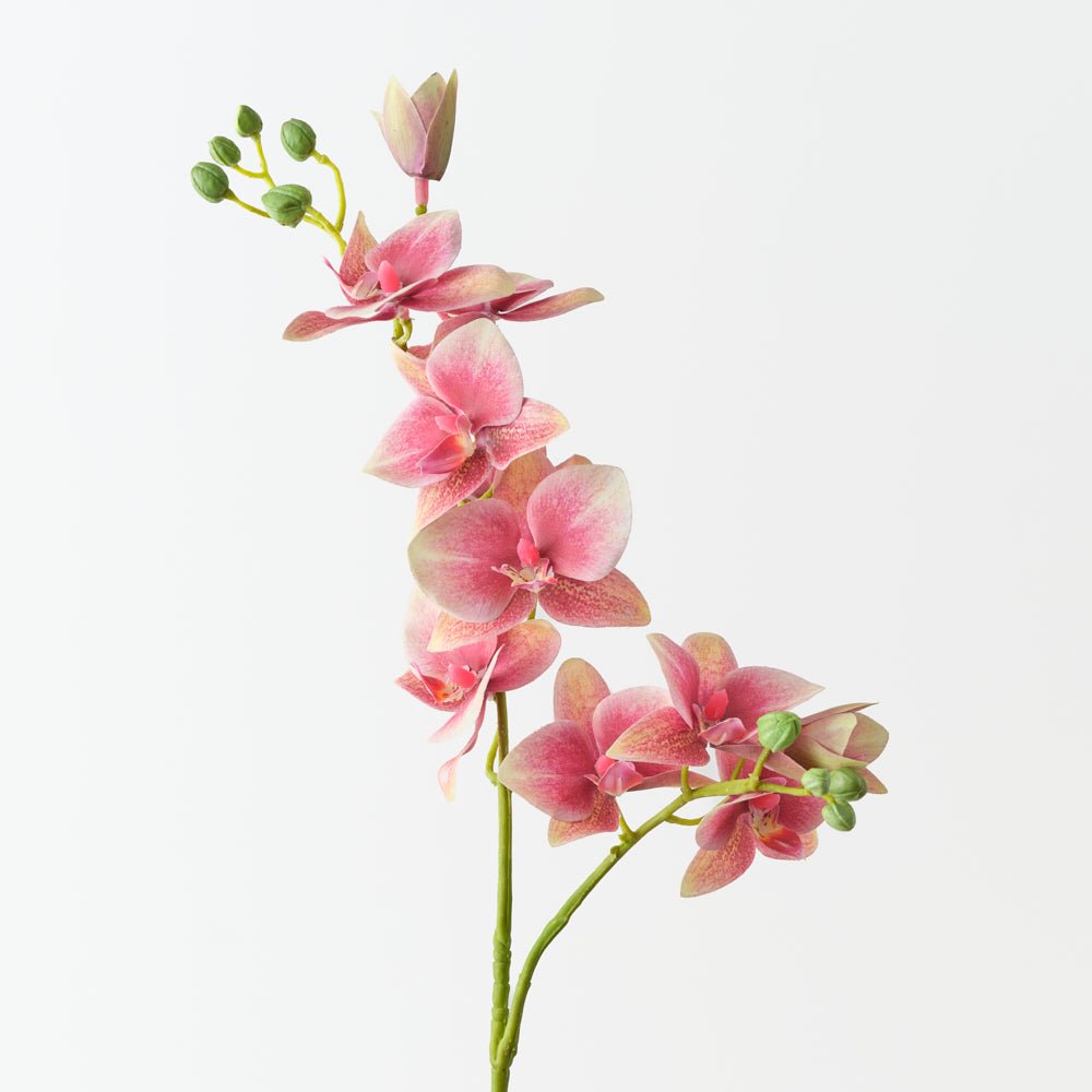 Real-Touch Phalaenopsis Orchid 84cm - Mauve - Premium Artificial Wedding Flowers by Sonder & Stone Boutique
