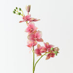 Real-Touch Phalaenopsis Orchid 84cm - Mauve - Premium Artificial Wedding Flowers by Sonder & Stone Boutique