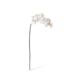 Real-Touch Phalaenopsis Orchid - Pink White - Premium Artificial Wedding Flowers by Sonder & Stone Boutique