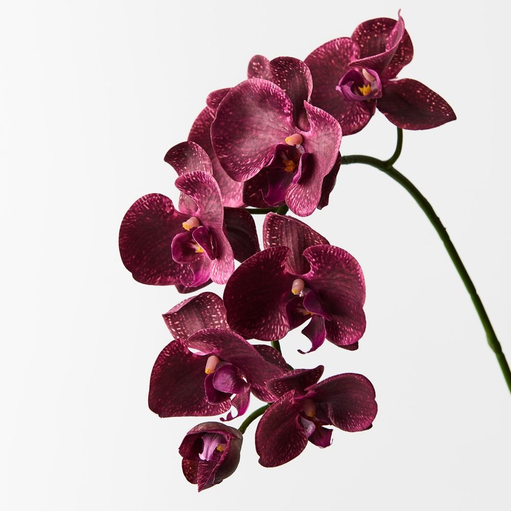 Real-Touch Phalaenopsis Orchid Spray - Burgundy - Premium Artificial Wedding Flowers by Sonder & Stone Boutique