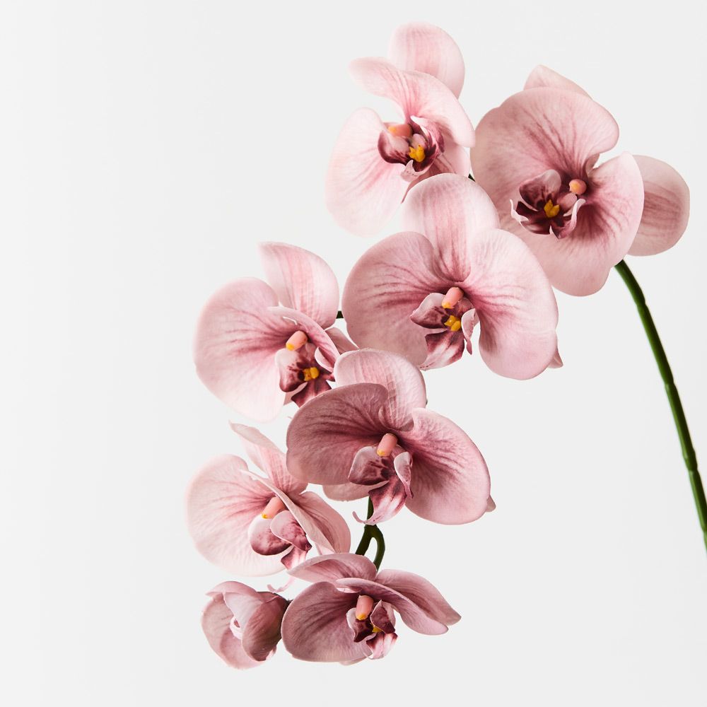 Real-Touch Phalaenopsis Orchid Spray - Dusty Pink - Premium Artificial Wedding Flowers by Sonder & Stone Boutique